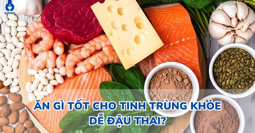 Ăn gì tốt cho tinh trùng khỏe dễ đậu thai​? Thực phẩm tốt cho tinh trùng​