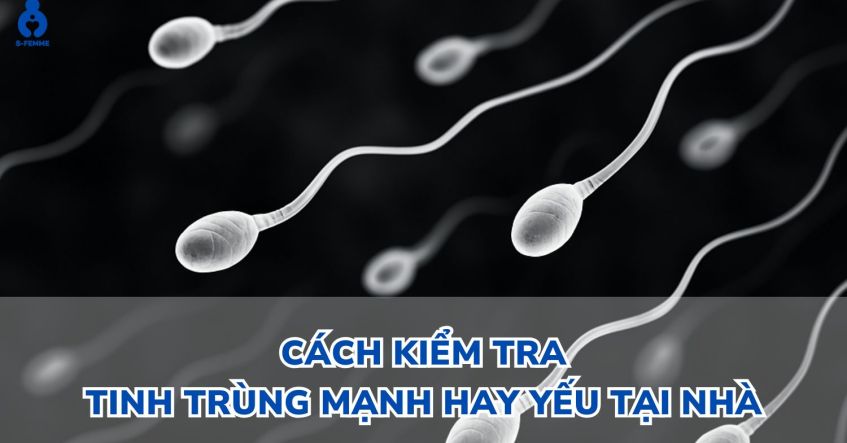 Cách kiểm tra tinh trùng mạnh hay yếu tại nhà​ đơn giản, nhanh chóng