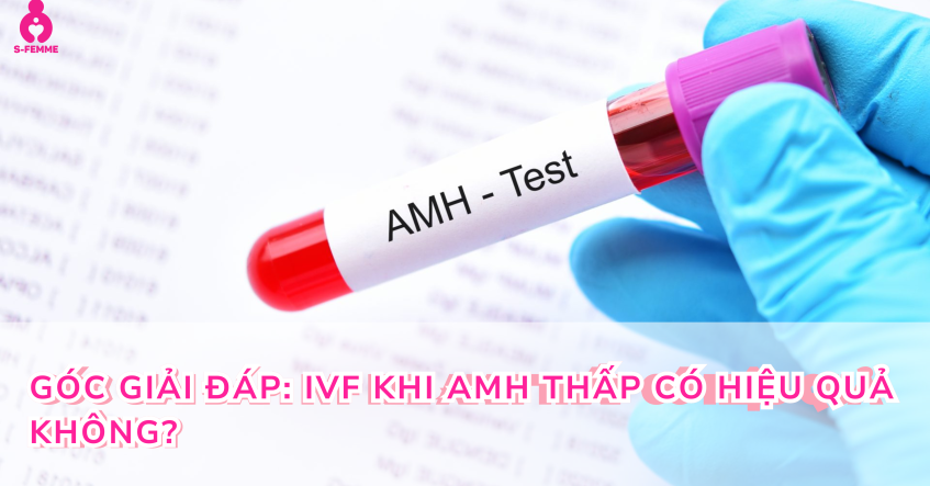 GÓC GIẢI ĐÁP: IVF KHI AMH THẤP CÓ HIỆU QUẢ KHÔNG?