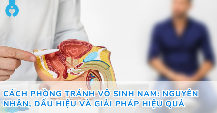 Cách phòng tránh vô sinh nam: Nguyên nhân, dấu hiệu và giải pháp hiệu quả