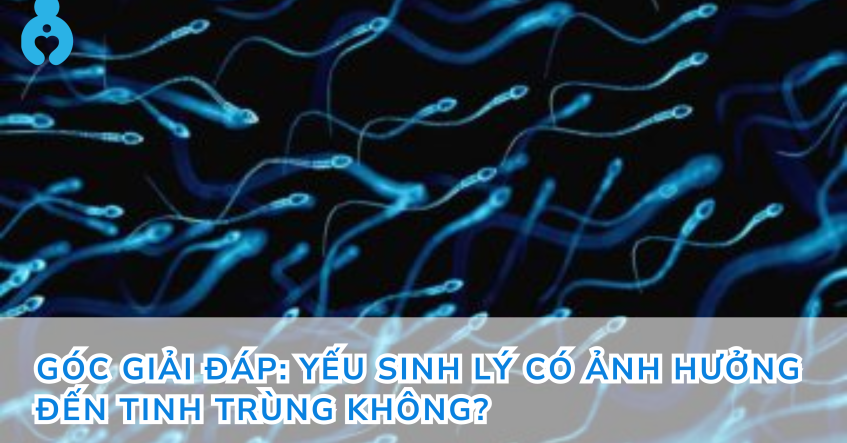 Góc giải đáp: Yếu sinh lý có ảnh hưởng đến tinh trùng không?