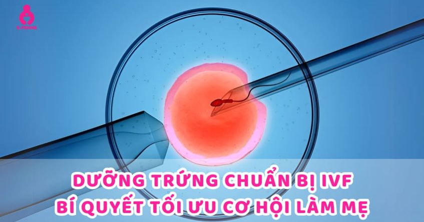 Dưỡng trứng chuẩn bị IVF - Bí quyết tối ưu cơ hội làm mẹ