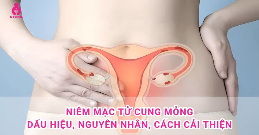 Niêm mạc tử cung mỏng là gì? Dấu hiệu, Nguyên nhân, Cách cải thiện