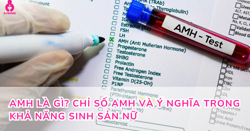 AMH là gì? Chỉ số AMH và ý nghĩa trong khả năng sinh sản nữ