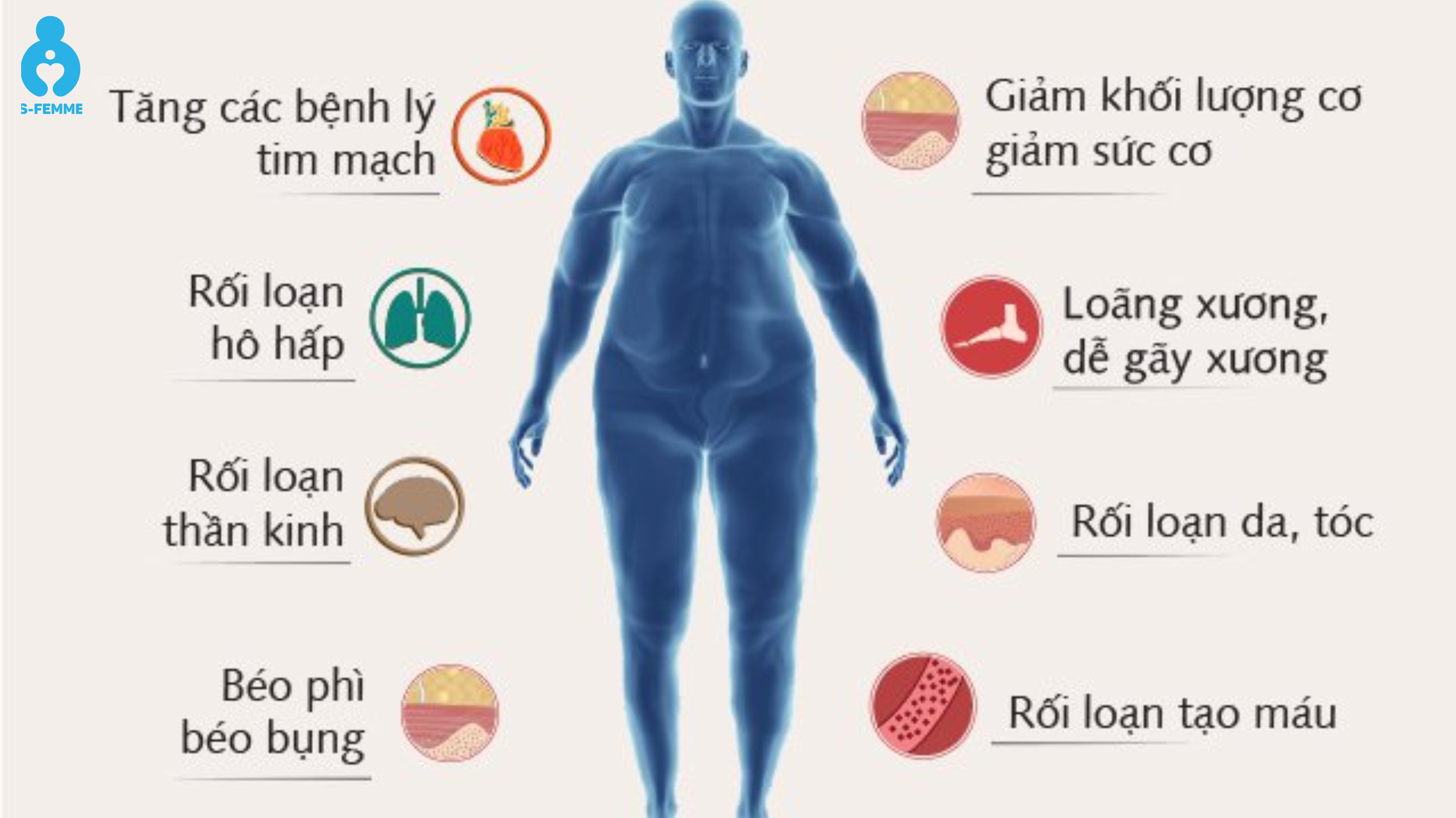Dấu hiệu cho thấy chỉ số testosterone có thể đang thấp