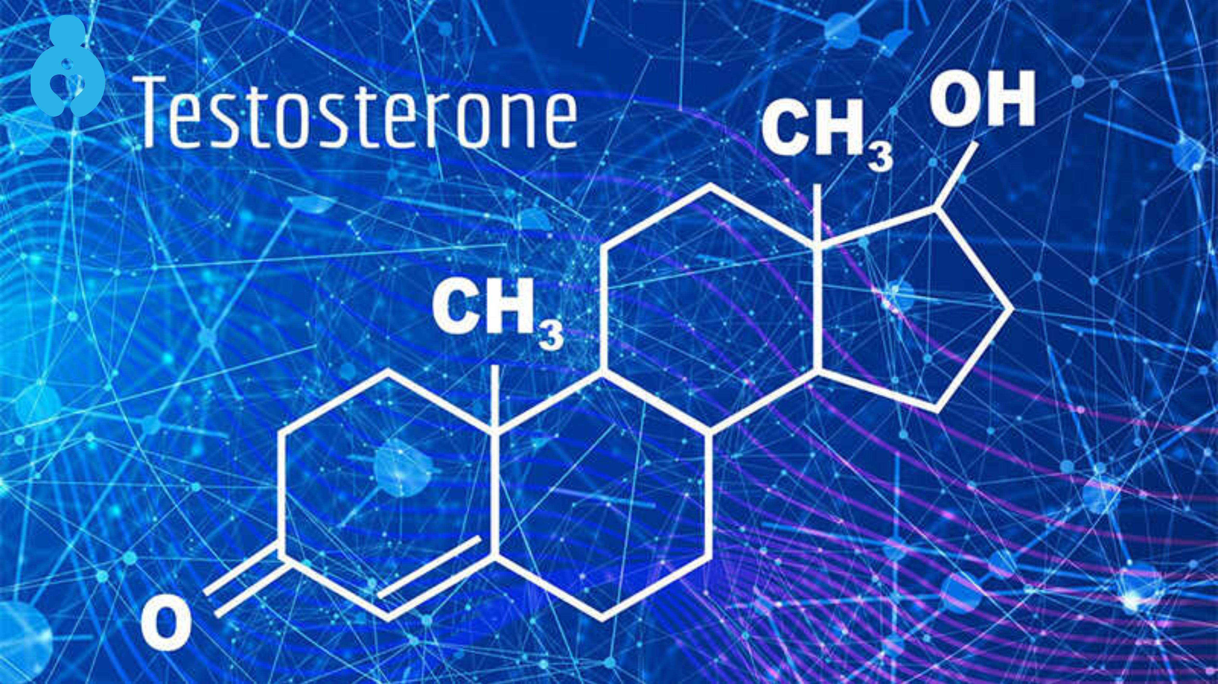 Testosterone là gì